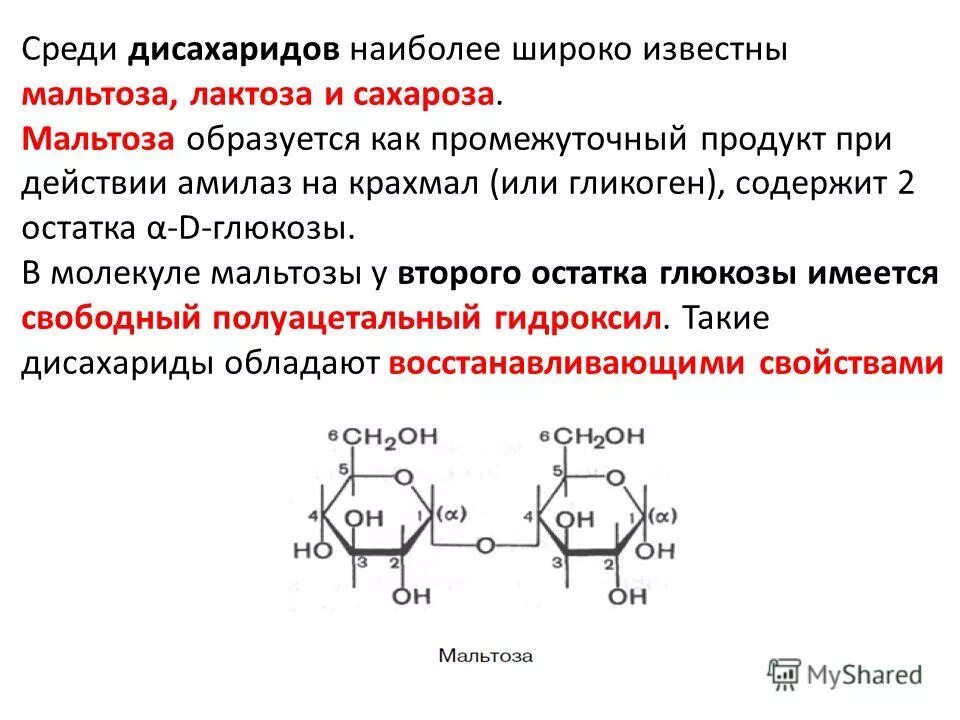 Ферменты дисахариды