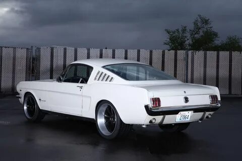 White mustang перевод