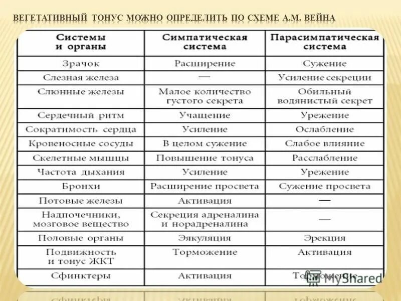 Действия симпатического и парасимпатического отделов. Таблица органы возбуждение симпатической нервной системы. Таблица влияние симпатической и парасимпатической нервной системы. Вегетативная нервная система таблица. Симпатическая и вегетативная нервная система таблица.