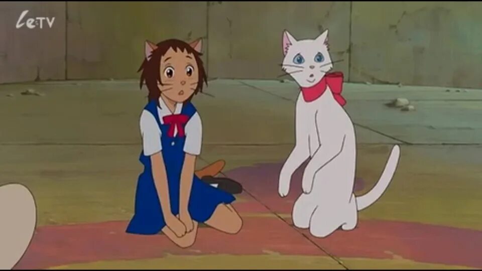 The cat returns на русском. The cat returns на русском