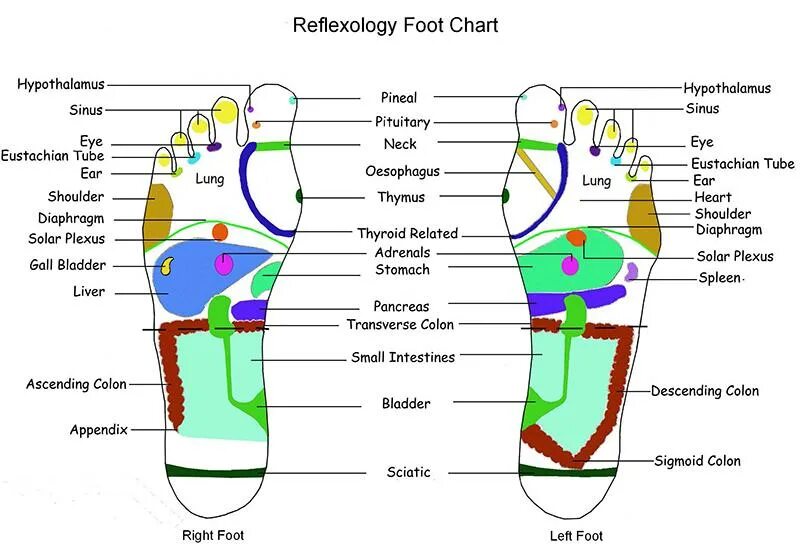 Рефлексология. Рефлекторные точки на стопе. Рефлексология рук. Карта рефлексологии. Фут карта