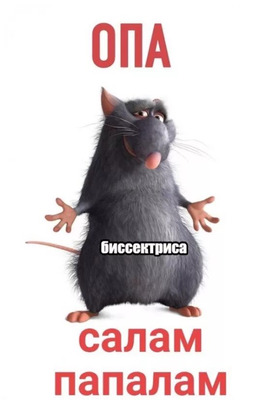 Салам алейкум дословно. Прикольные картинки ржачные. крыса юмор. салам пополам. биссектриса это крыса.