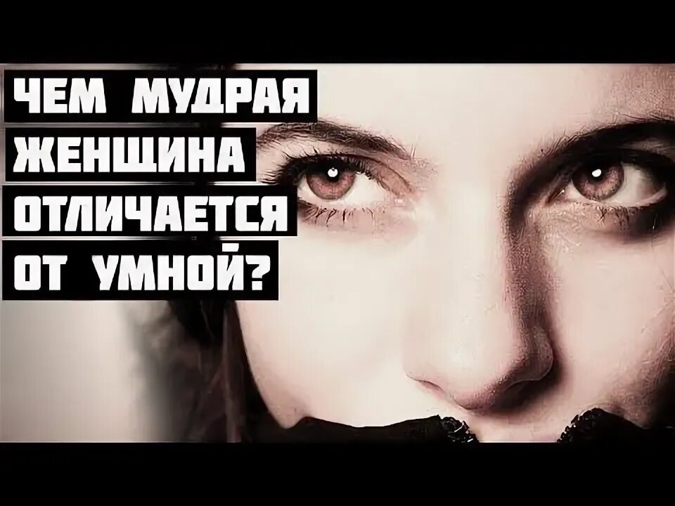 Видео умная женщина. Чем отличается умная женщина от глупой. Видео умная женщина. Мудрая женщина картинки. Чем отличается умная женщина от мудрой.