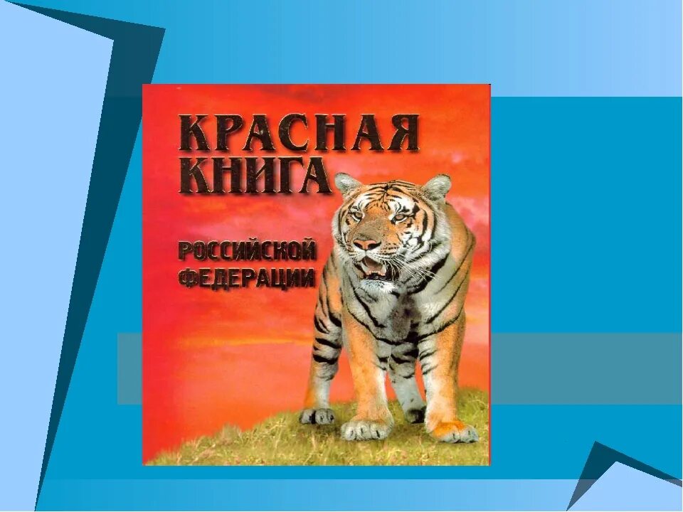 Проект красная книга России. Животных из красной книги. Красная книга окружающий мир. Проект по красной книге России. Сделать красную книгу окружающий мир