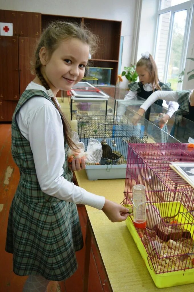 Живой уголок в классе. Живой уголок. Школьный живой уголок. Живой уголок в детском саду.