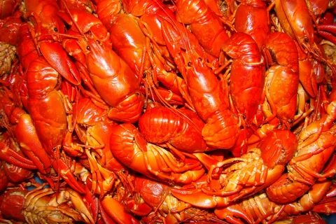 Красные морепродукты