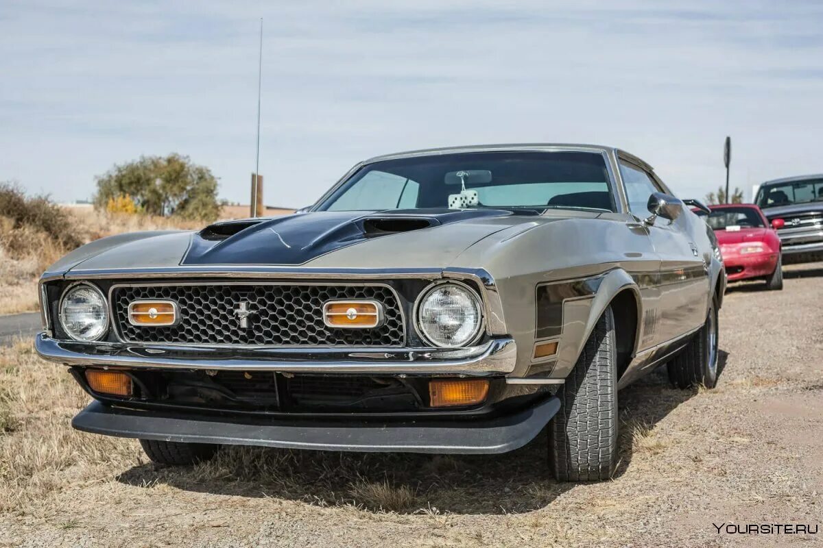 Форд Мустанг Mach 1. Ford Mustang Mach 1. Форд Мустанг Мак 1 1969. Форд Мустанг Mach 1 1971. Первые мустанги