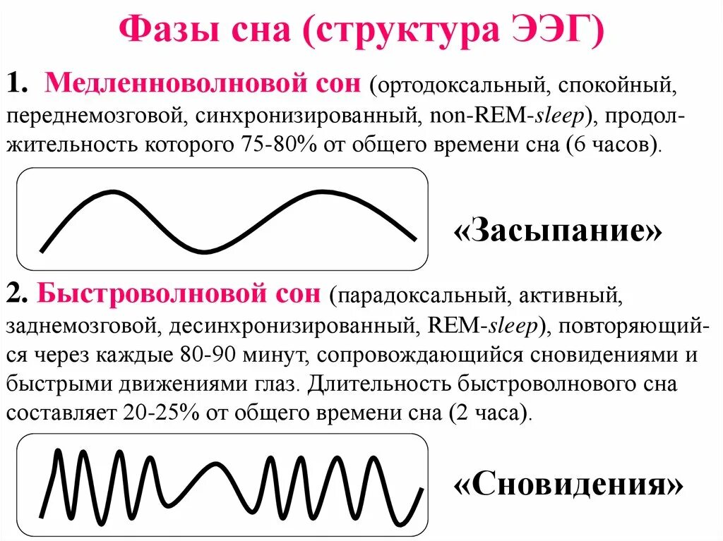 Rem фаза сна. Rem non Rem фазы сна. МЕДЛЕННОВОЛНОВОЙ сон. Быстроволновой и МЕДЛЕННОВОЛНОВОЙ сон.