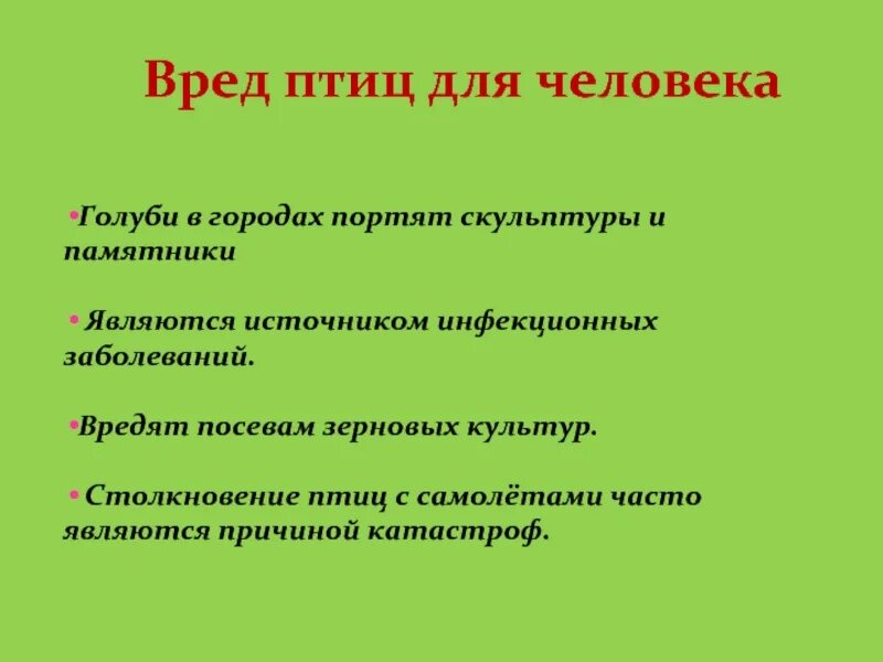 Польза и вред птиц. Польза и вред птиц для человека. Вредные птицы. Вредные птицы для человека. Вредные птицы в природе