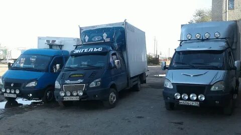 Газель во дворе