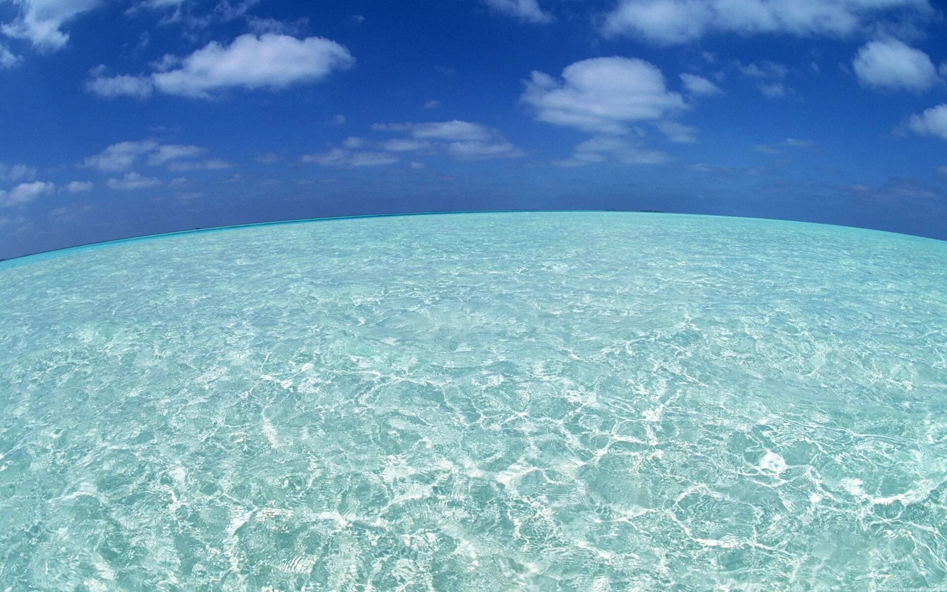 Океан голубая вода. Карибское море Атлантический океан. Прозрачное море. Голубое прозрачное море. Поверхность моря.