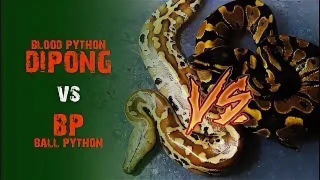 Round python 2. Round python 2