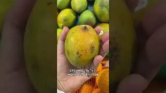 Сколько стоит кг манго. Attacker манго. Lenticel spot Mango. Black spot disease.