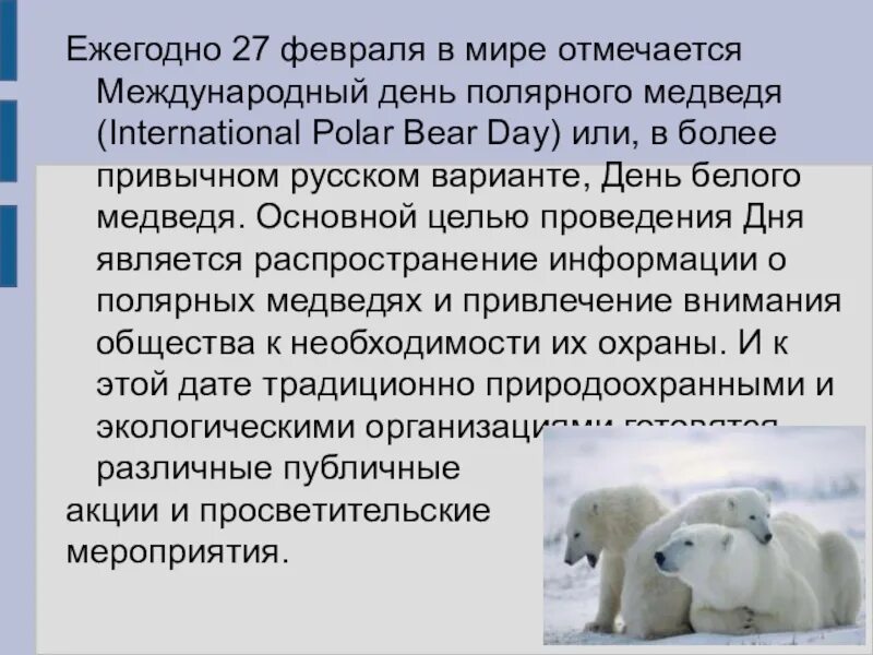 Белый мишка поздравление. Международный день белого медведя. Международный день полярного белого медведя 27 февраля. Международный день белого медведя. 27 февраля день полярного медведя.