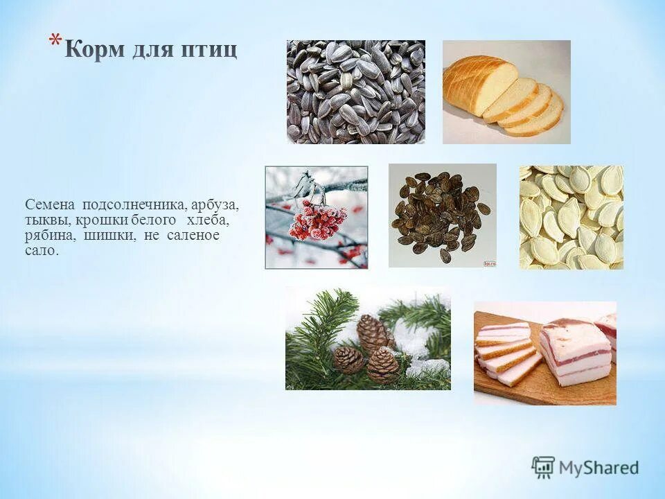 почему нельзя кормить птиц. карточки корма для зимующих птиц. можно ли птицам крошки белого хлеба. подкармливать птиц. что нельзя давать птицам.