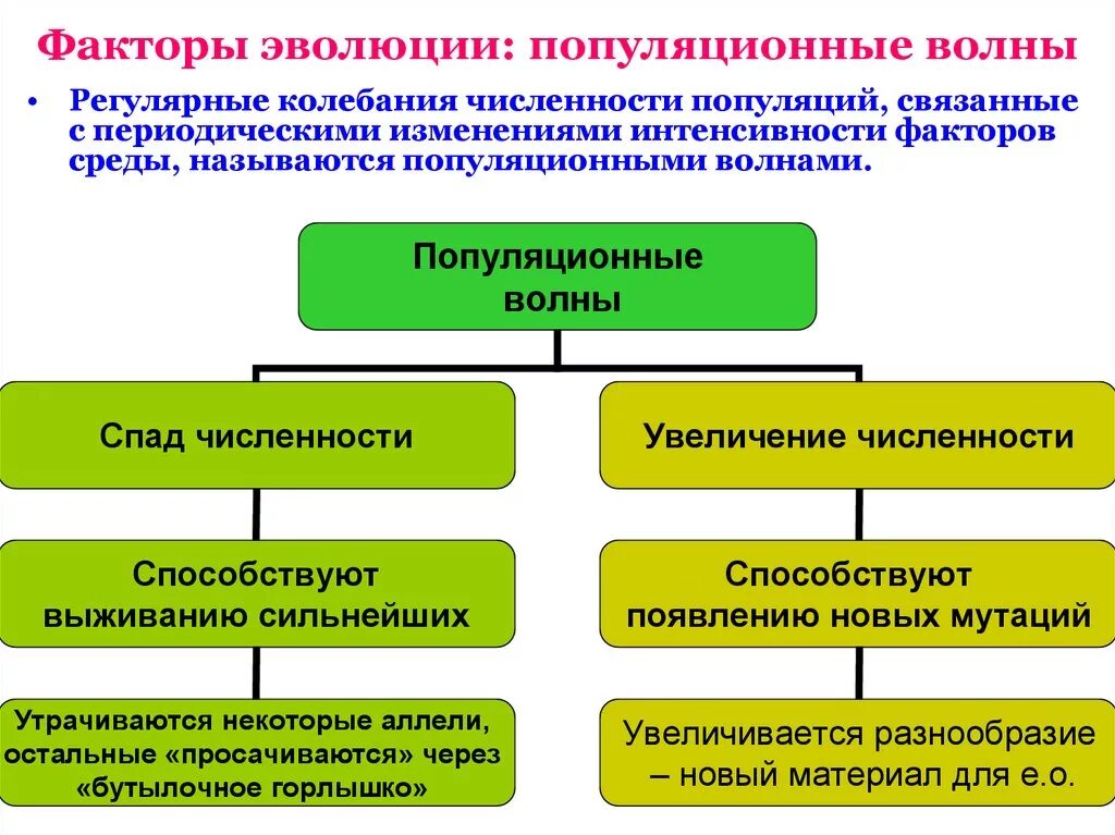 Некоторые эволюционные изменения приводят к появлению. Популяционные волны. Причины популяционных волн. Популяционные волны это в биологии. Популяционные волны факторы.