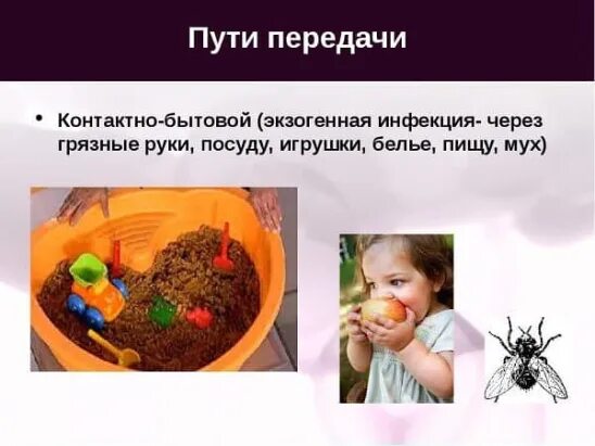 Фекально оральный механизм заражения. Контактно бытовой путь передачи. Передача инфекции контактно бытовым путем. Контактно бытовой путь передачи инфекции это. Бытовой путь передачи инфекции.