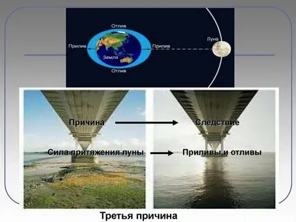 Почему возникают приливы и отливы