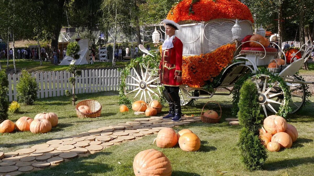 Город сад воронеж 2019. Праздник город сад. Сад огород воронеж динамо. Праздник город сад. Фестиваль город сад воронеж.