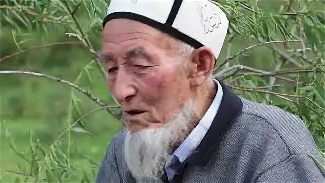 Кичи видео. Кичи балык кисловодск. Кичи видео. Кичи балык кисловодск. Корова под дождем.