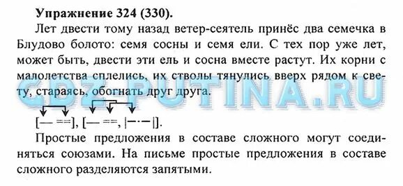 Лет двести тому назад. М. Лет 200 тому назад ветер сеятель принес 2 семечка в блудово болото. Лет 200 тому назад ветер. Ель и сосна на блудовом болоте.