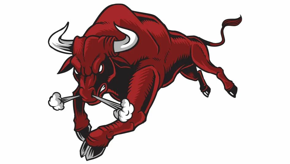 Бык число. Злой бык. изображение быка. bull бык.