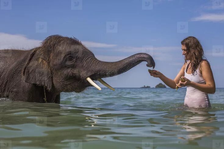 Девушка и слон в воде. Слон под водой. Фото девушек со слоном в воде. Swimming with my Elephant sister (Part 2). Sister elephant