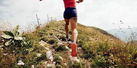 Длительный бег по пересеченной местности цдз