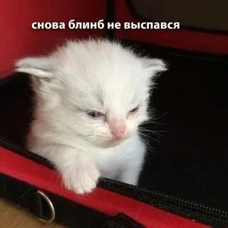 Просто эх