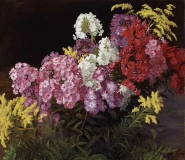 Флоксы букет