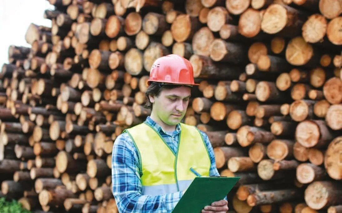 Мастер столярного и мебельного производства. Работник с пиломатерьялами. Работу дерево работника. Работу дерево работника. Стол плотника.