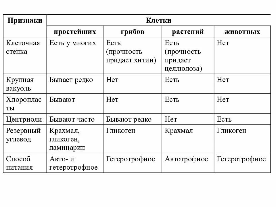 Строение клеток эукариот растений животных грибов. Отличительные признаки грибной клетки. Строение растительной животной грибной бактериальной клетки таблица. Таблица признаки клетки бактерии животных растений и грибов. Биологические признаки клеток