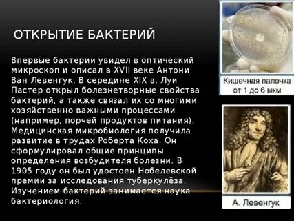Когда и кем было обнаружено