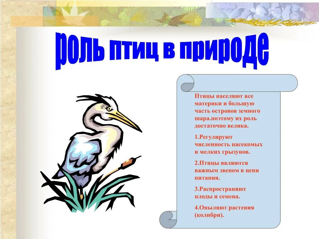 Роль птиц в природе. Важность птиц в природе. Роль птиц в жизни человека. Роль птиц в жизни природы.