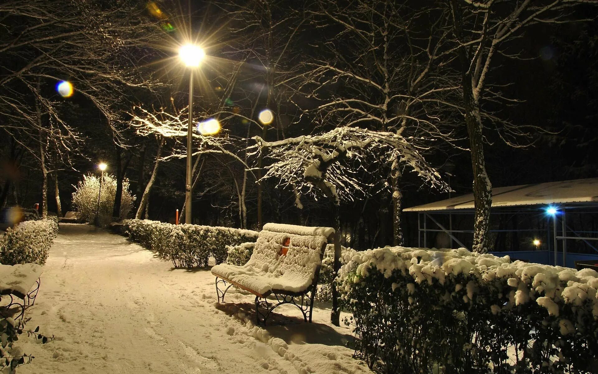 Вечером снежок. Зимний парк. Зимний Вечерний парк. Зимняя аллея. Заснеженный ночной парк.