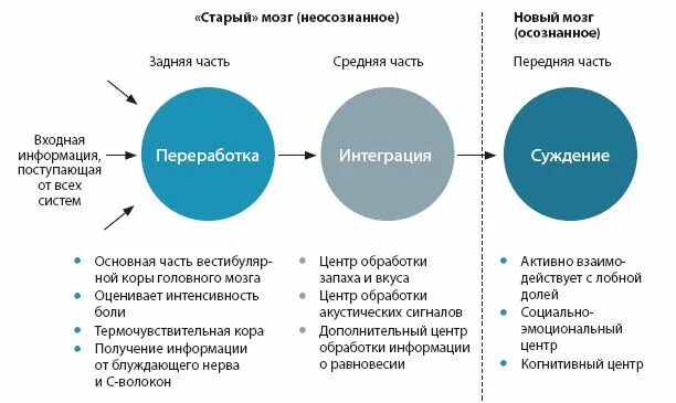 Книга тело мозг. Настройка системы тело мозг. Настройка системы тело мозг книга. Настройка системы тело мозг отзывы. Съема организма мозг-тело менеджмент.