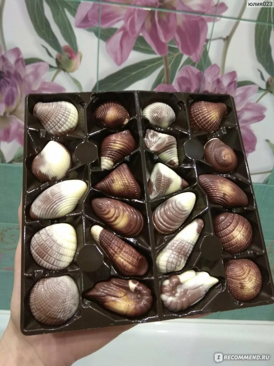 Конфеты Aimee морские ракушки. Конфеты Aimee морские ракушки шоколадные 250г. Шоколадные конфеты ракушки Бельгия. Бельгийский шоколад ракушки. Купить конфеты ракушки