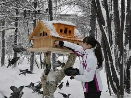 Помощь диким