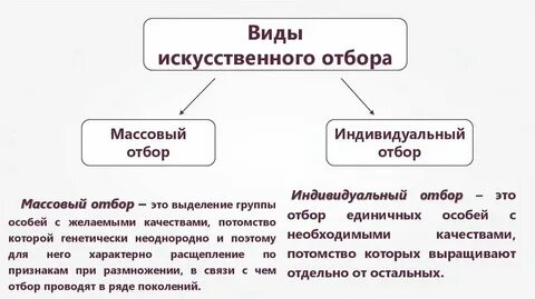 Применение массового отбора