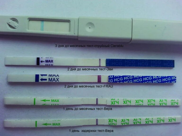 Задержка месячных. Задержка месячных тест. Тест на беременность. Тесты до задержки месячных. Максимальная задержка без беременности