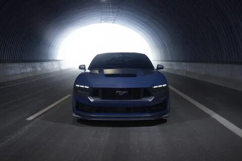 Ford shelby 2024