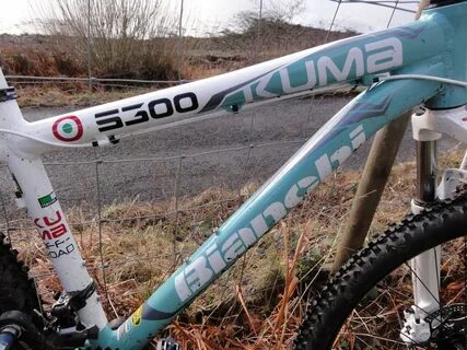 Bianchi kuma