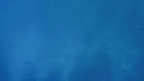 Синяя текстура