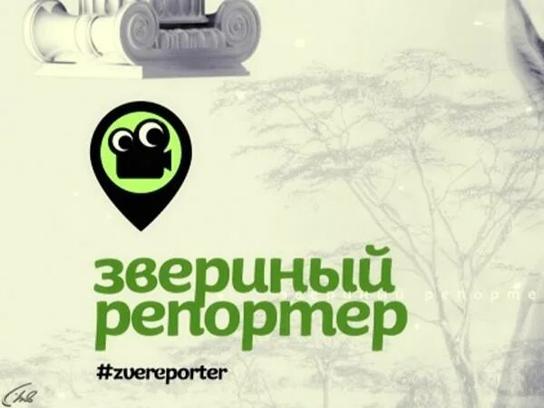 Звериный репортер. Передача звериный репортер. Звериный репортер Живая Планета.