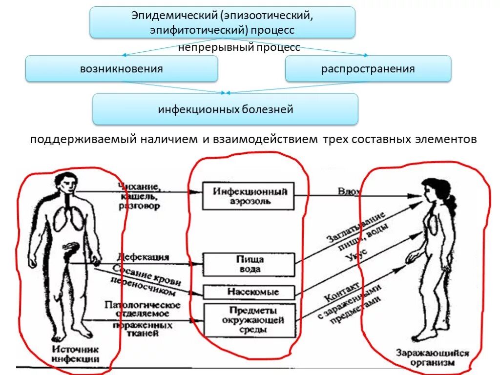 Пути распространения инфекции схема. Схема эпид процесса. Схема передачи инфекционных заболеваний. Эпидемический процесс схема. Процессы болезни человека