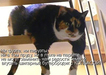 И здесь на этом месте будет