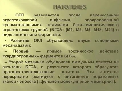 Патогенез острой ревматической лихорадки
