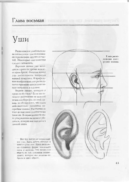 Уши расположены. Описание ушной раковины криминалистика. Расположение уха на голове. Расположение уха. Оценка расположения ушей.