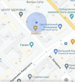 Хабаровск улица запарина 82 эверест