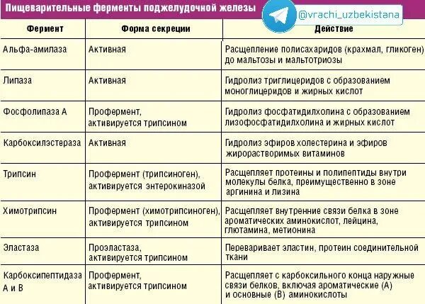 Пищеварительные ферменты поджелудочной железы препараты. Ферменты поджелудочной железы их роль в пищеварении. Функции ферментов желудочных желез. Ферменты пищеварительного сока поджелудочной железы. Работа пищеварительных ферментов